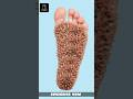 FOOT DEEP CLEANING | ASMR ANIMATION | ASMR TREATMENT VIDEO #asmr #animation #shorts #shortvideo