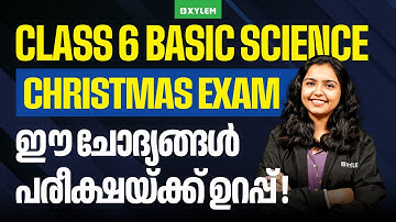 Class 6 Basic Science Christmas Exam 2025 | ഈ ചോദ്യങ്ങൾ പരീക്ഷയ്ക്ക് ഉറപ്പ് | Xylem Class 6