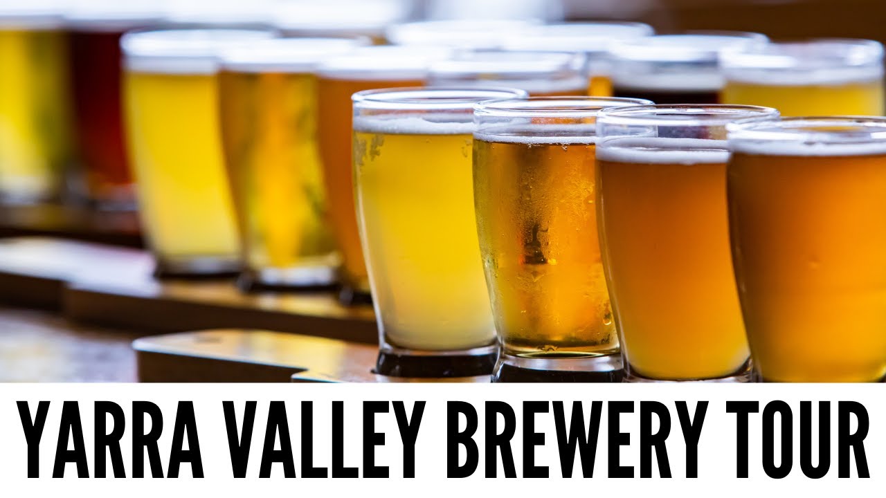 yarra valley brewery tour