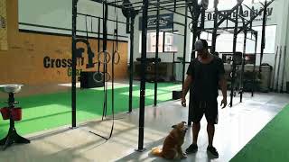 Hanging Close Grip passive and active