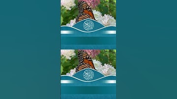 يا أيها الناس اتقوا الله  ،اتقوا الله  القارئ حمادة جودة هلال