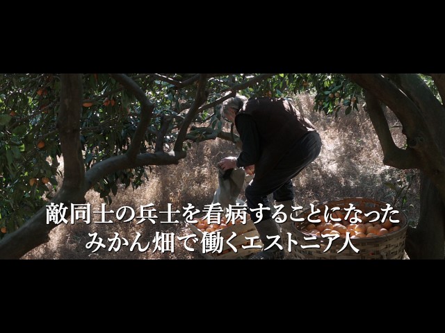 みかんの丘』予告編 - YouTube
