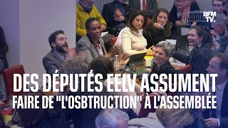 À l'Assemblée, les députés EELV assument faire de 