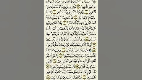سورة المؤمنون من الآية ٢٨ إلى الآية ٤٢بصوت القارئ ماهر المعيقلي
