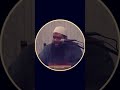 لو عاوز متتذلش فى حياتك اسمع الفيديو ده 