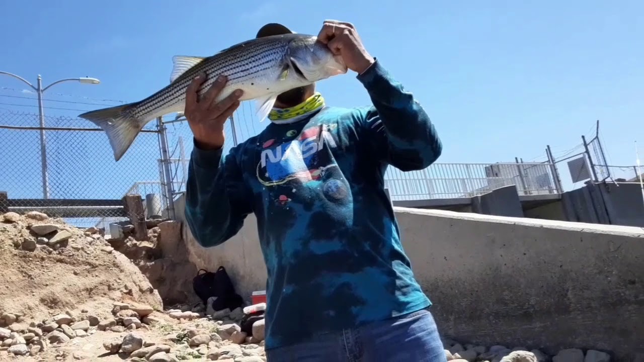 🔴 Pescando con amigos aventura 5 STRIPER BAGRE Y CARPA quail lake