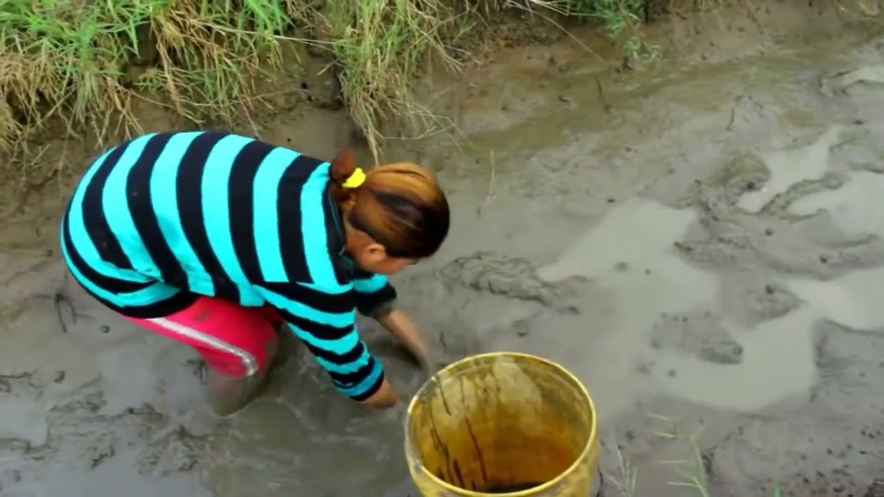 wow Amazing Fishing - Cambodia Traditional fishing - How to Catches Fish (Part 120)