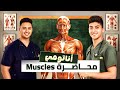 General Anatomy Muscles Chapter Muscular System علم التشريح المحاضرة الخامسة العضلات 