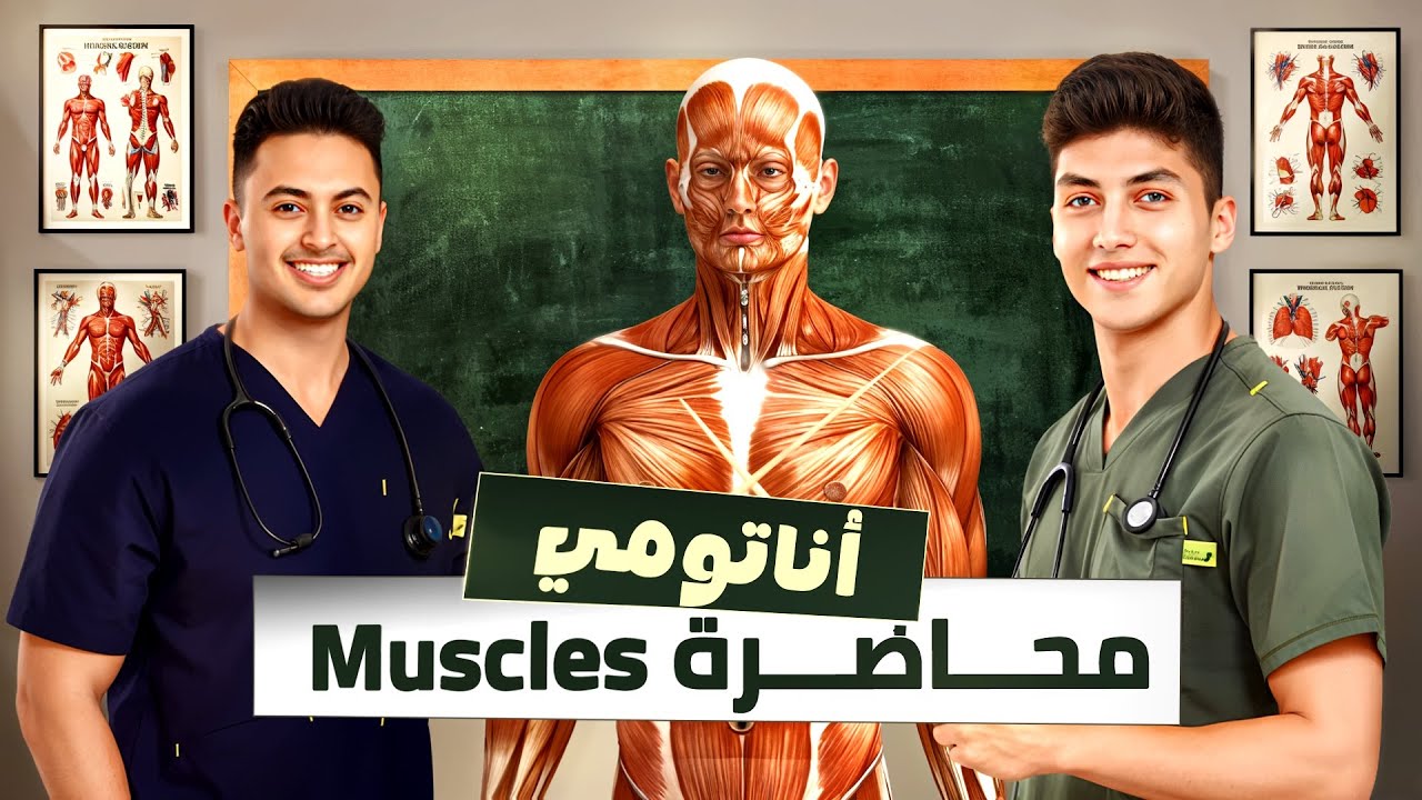 General anatomy - muscles chapter (muscular system) علم التشريح المحاضرة الخامسة العضلات