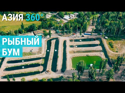 Рыбоводство без рек и озер | АЗИЯ 360°