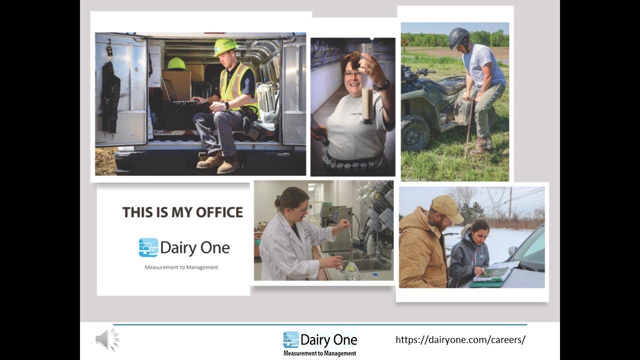 This Is My Office Campaign at Dairy One YouTube
