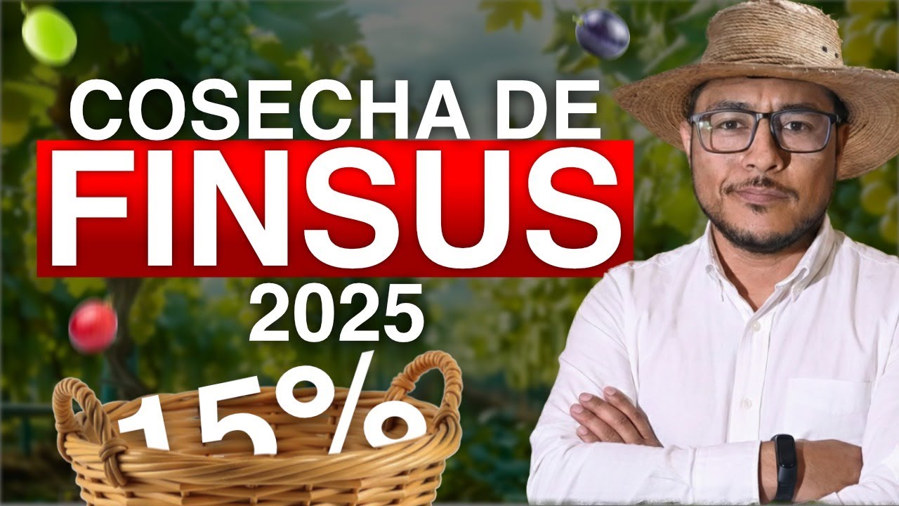 CÓMO GANÓ 23 MIL PESOS SIN HACER NADA!! || FINSUS