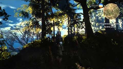 The Witcher 3 - Depth Of Field MOD "DOF" - Work in Progress..