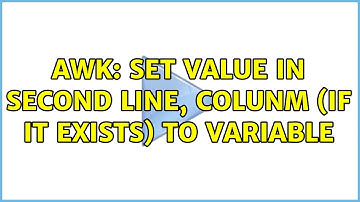 Ubuntu: awk: Set value in second line, colunm (if it exists) to variable