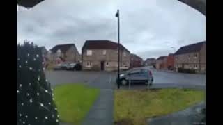 Cat Meows Into Door Camera With Reverb, And Dissapears, And Then Reappears Back.