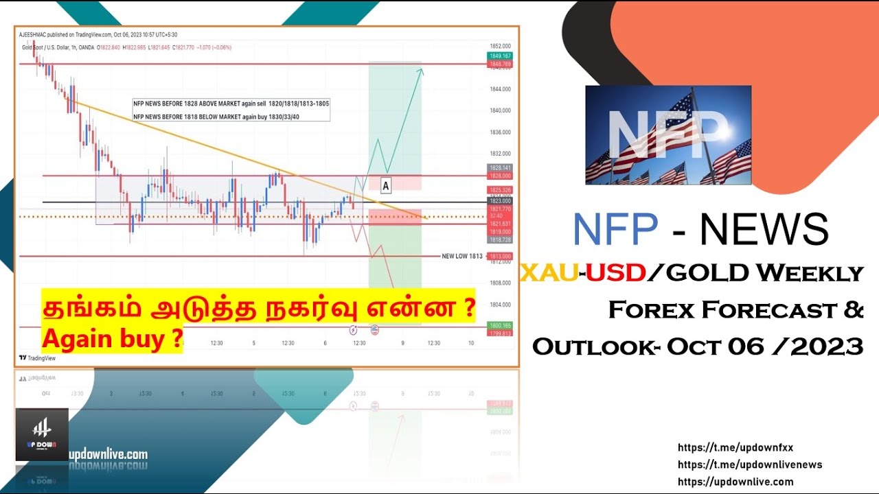 Xauusd analysis Daily / Nfp udate / GOLD Forex Forecast and Outlook Oct ...