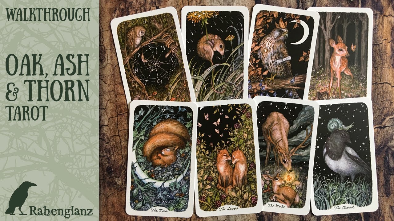 Oak, Ash & Thorn Tarot by Stephanie Burrows, illustrations by Adam ...