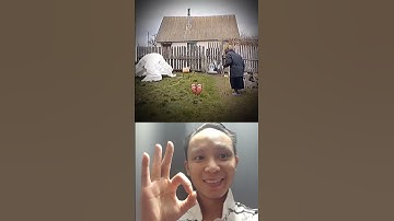 Clip hài hước - Kẻ cắp gặp bà già và cái kết🤣 #shorts