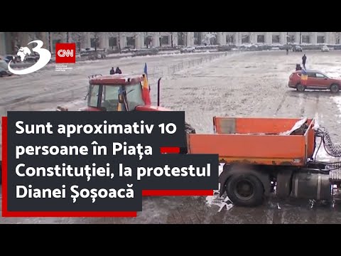 Sunt aproximativ 10 persoane în Piața Constituției, la protestul Dianei Șoșoacă