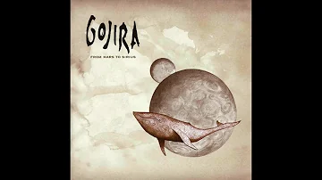 Gojira - Backbone (guitar cover)