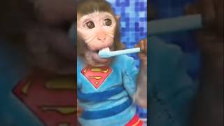 Bug attack on monkey baby 😭🍼🐵 #monkey  #monkeybaby
