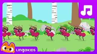 The Ants Go Marching 🐜🐜 | Simple Songs for Kids | Lingokids