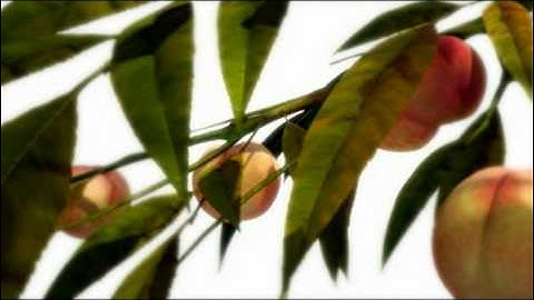 Entropy - Academy of Interactive Entertainment (AIE)