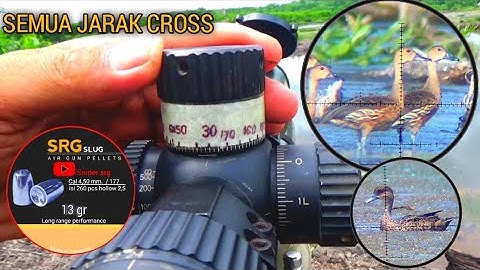 WOW MAIN TURRET FULL ❗JARAK JAUH CROSS BERBURU BELIBIS PAKAI SRG SLUG