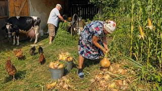 At 68 & 71, We Still Do Everything Ourselves | Mountain Village Life