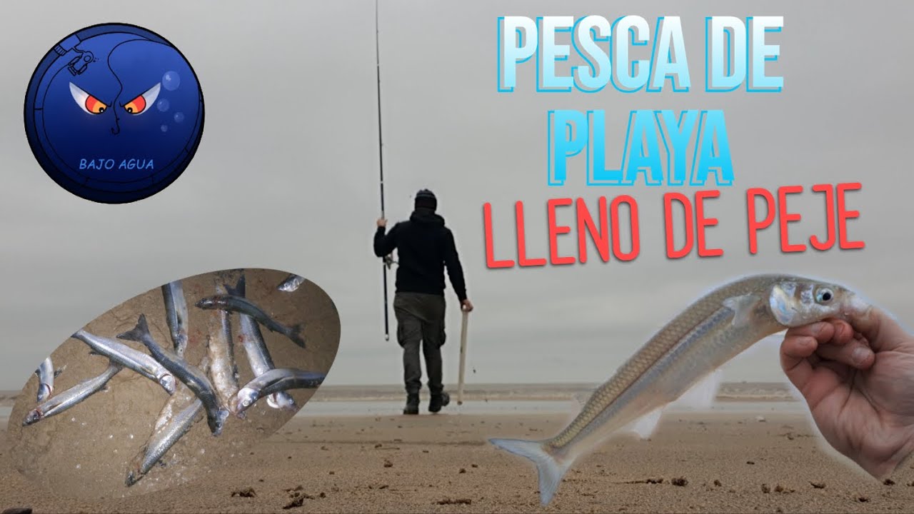 Pesca de Pejerrey en Solymar // Canelones - Uruguay // @Bajo Agua #fishing #pejerrey #pesca