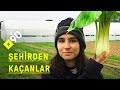 Şehirden kaçanlar: Plazadan tarlaya | "Modern ve doğaya saygılı tarım"