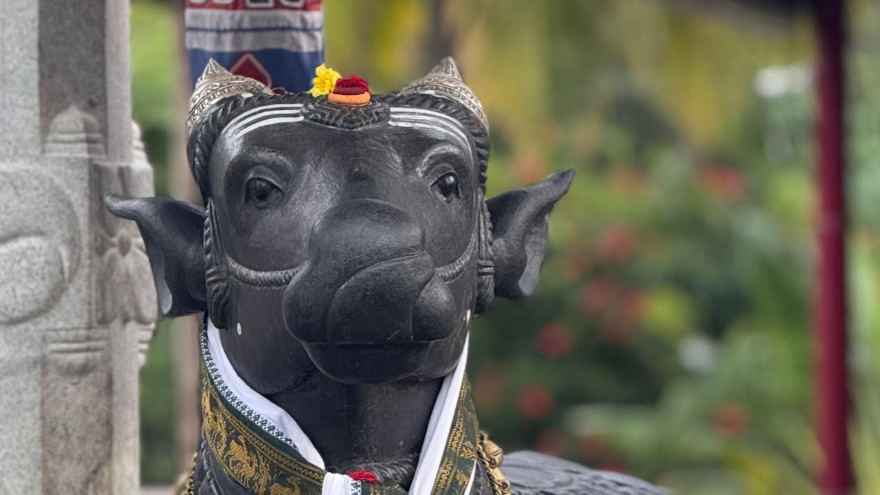 🔴LIVE: பிரதோஷ வழிபாடு