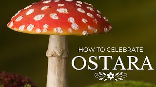How to Celebrate Ostara \& the Spring Equinox as a Witch (Part 1)