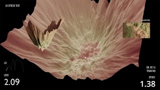 Celebrity LR COASTER | learning rate in machine learning | Loss Landscape visualization | Deep Learning Wealth