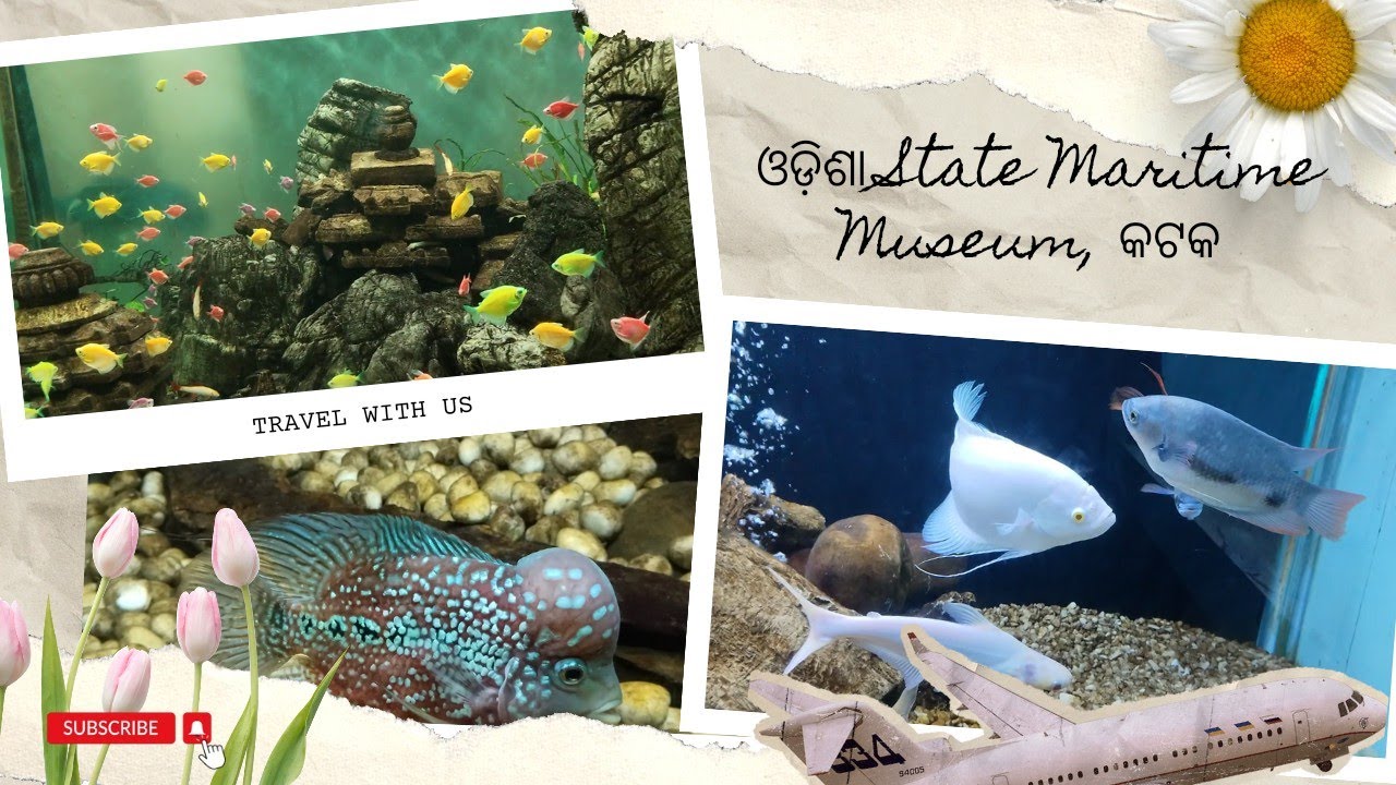Marine & Fresh water aquarium | Odisha State maritime museum @Cuttack, Odisha | Odisha Travel Vlog