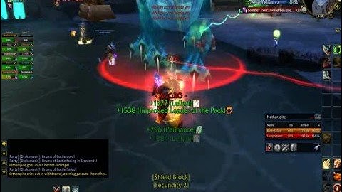 WoW | Karazhan - Netherspite, Last 20%