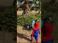 سبايدر مان الصغير و الجوكر والرجل الغمض اسبايدر مان الصغير 