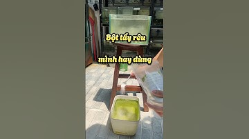 Dọn rong rêu bám thành hồ cá bằng bột tẩy rong rêu và cái kết #fyp #guppy #cabaymau #nhacabaymau