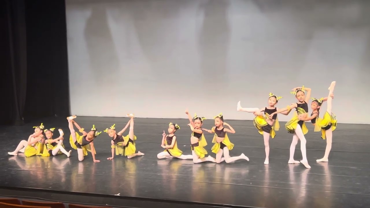 Bumblebee Ballet