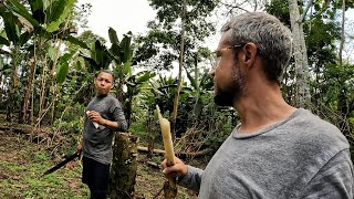 Me Adentro en la Selva Colombiana 🇨🇴