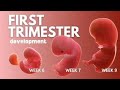Changes that occur in the first 3 months of pregnancy | Every woman should know about them #First...