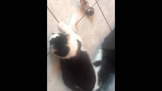IMG 7031