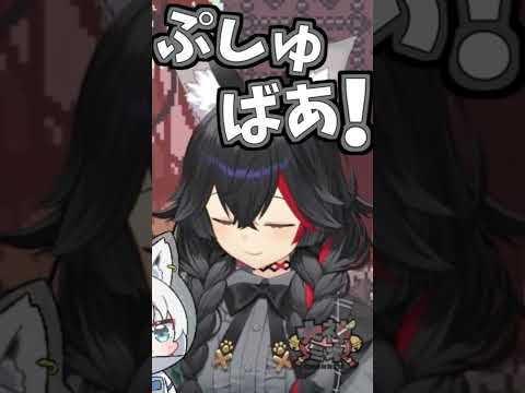 白上フブキ - 謎解き中のミオしゃのくしゃみ三連!【2025/05/10 #shorts #大神ミオ #ホロライブ】