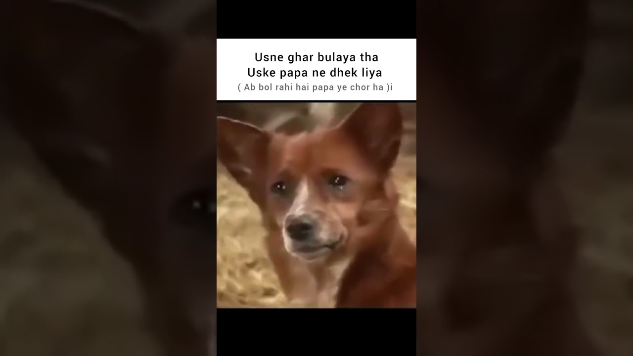 Ma kya unha chor dikhta hu 😭😭 #memes #viral #explore #trending #shorts