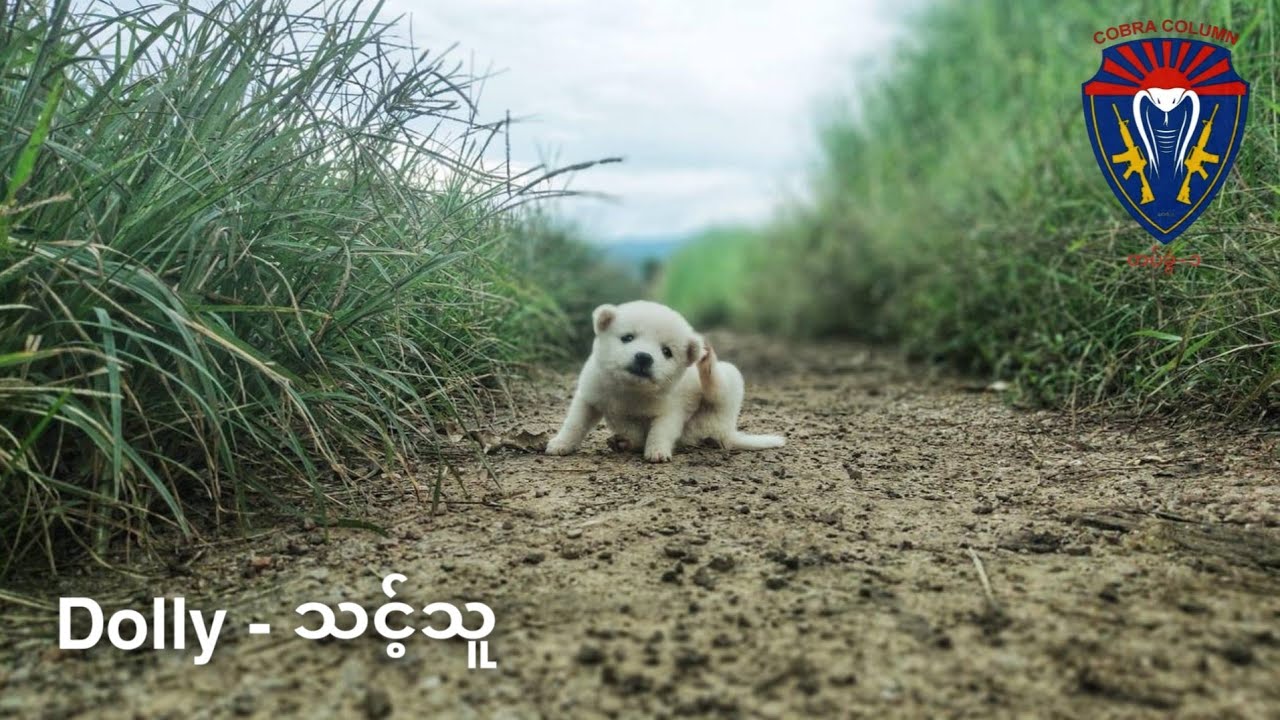 Dolly - သင့်သူ