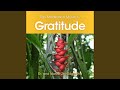 Tao meditation music for gratitude