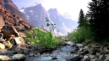 سورة البقرة من الاية 44 الى الاية 59 للحفظ