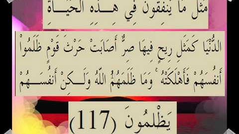 القران الكريم سورة آل عمران الأية  117