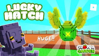 TOP 10 Lucky Players | BEST HATCH?! | Claim this luck 🍀 in Grow a Garden
