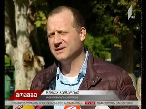 ზურაბ ჯაფარიძემ საპრეზიდენტო არჩევნებზე ხმა მისცა